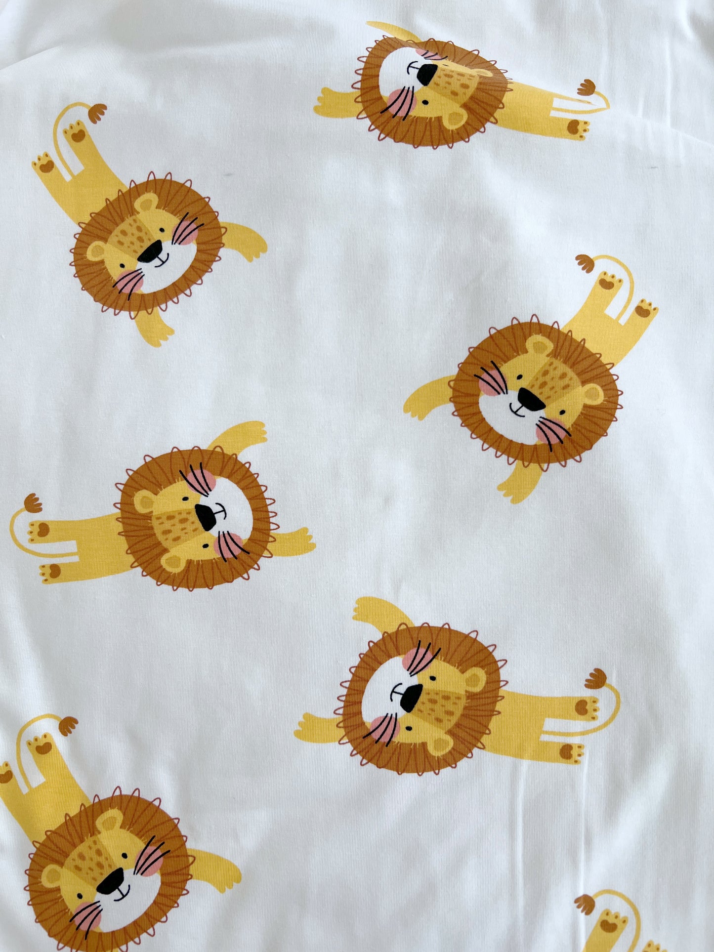 Lion Blanket